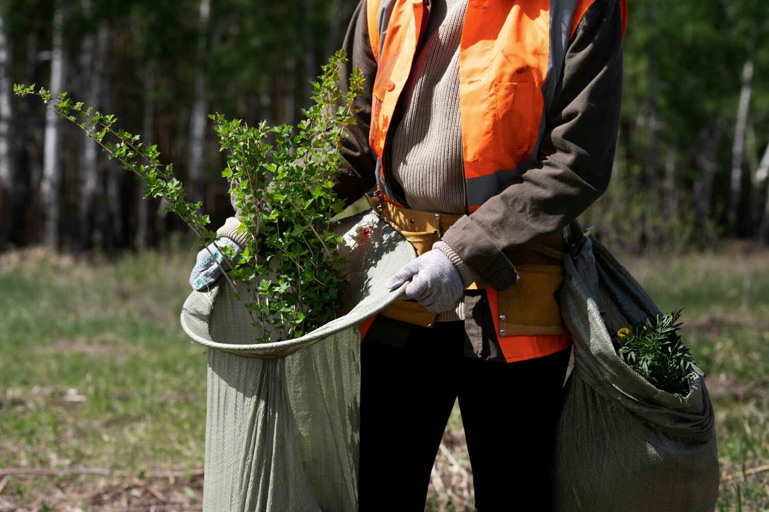 Tree Removal for Businesses in The Homesteads, TX